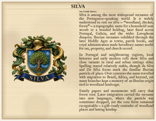 
Load image into Gallery viewer, Sample Last Name Origin PDF — The Silva Family — dense Standard layout, coat of arms left, surname history right — Herald Lab SAMPLE